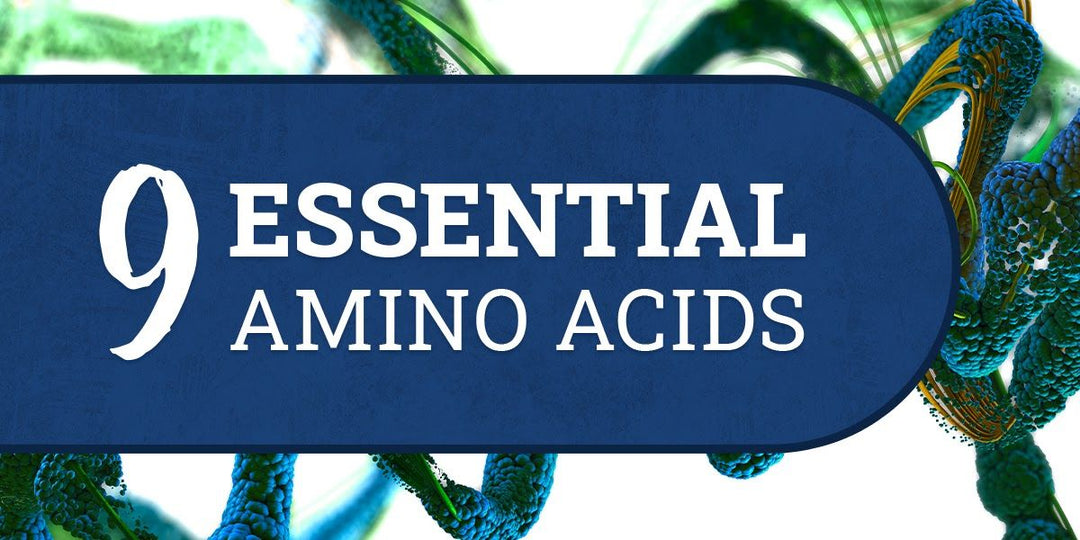 The 9 Essential Amino Acids (Health Guide)